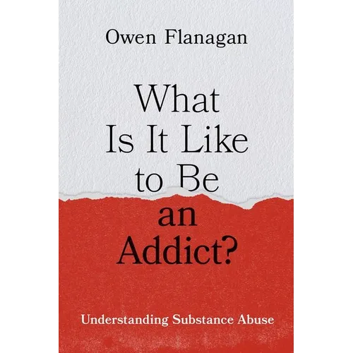 What Is It Like to Be an Addict?: Understanding Substance Abuse - Hardcover