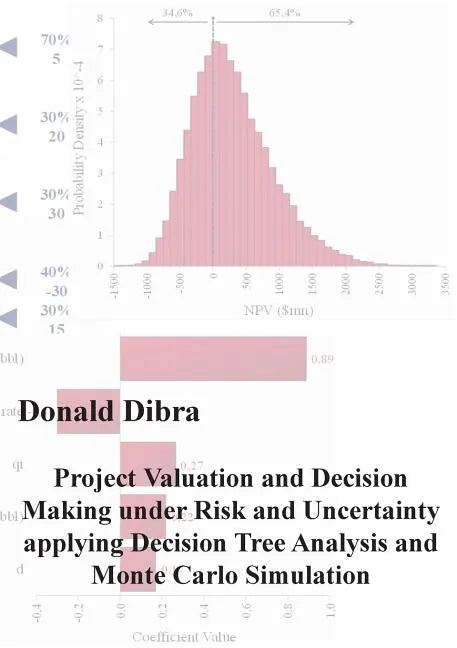 Project Valuation and Decision Making under Risk and Uncertainty applying Decision Tree Analysis and Monte Carlo Simulation - Paperback