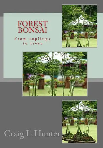 Forest Bonsai: from saplings to trees - Paperback