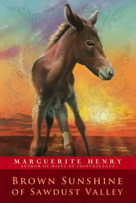 Brown Sunshine of Sawdust Valley - Paperback