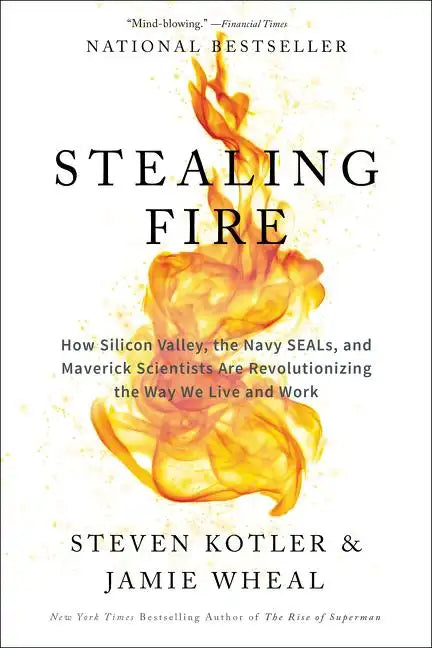 Stealing Fire: How Silicon Valley, the Navy SEALs, and Maverick Scientists Are Revolutionizing the Way We Live and Work - Paperback