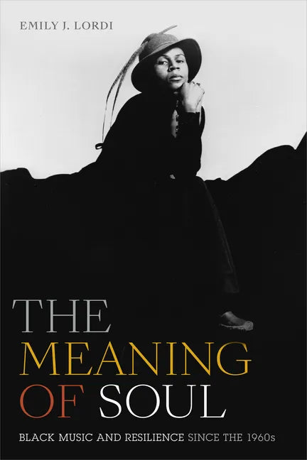 The Meaning of Soul: Black Music and Resilience since the 1960s - Paperback
