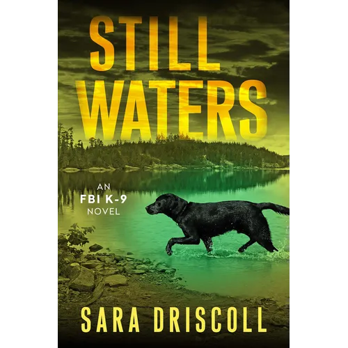 Still Waters: A Riveting Novel of Suspense - Paperback