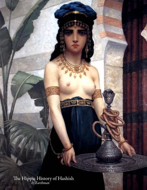 The Hippie History of Hashish - Paperback