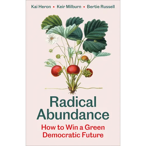 Radical Abundance: How to Win a Green Democratic Future
