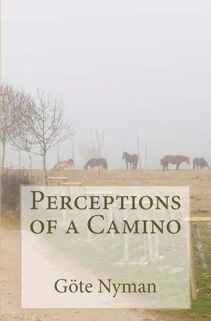 Perceptions of a Camino - Paperback