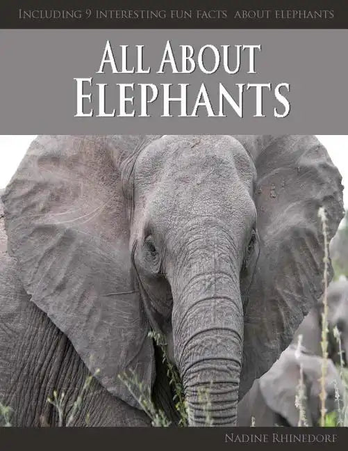 All About Elephants - Paperback