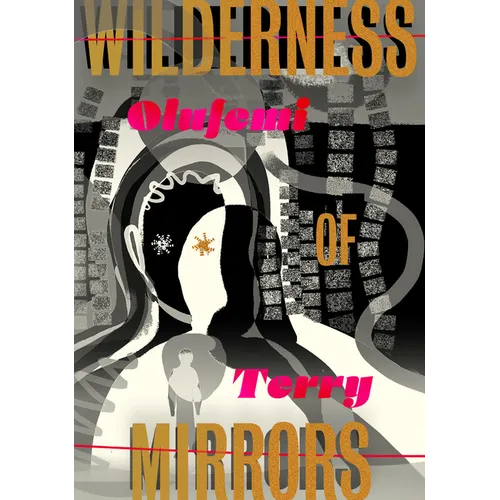 Wilderness of Mirrors - Paperback