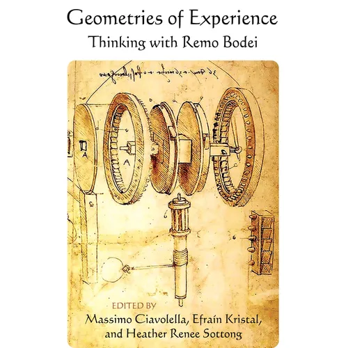 Geometries of Experience: Thinking with Remo Bodei - Hardcover