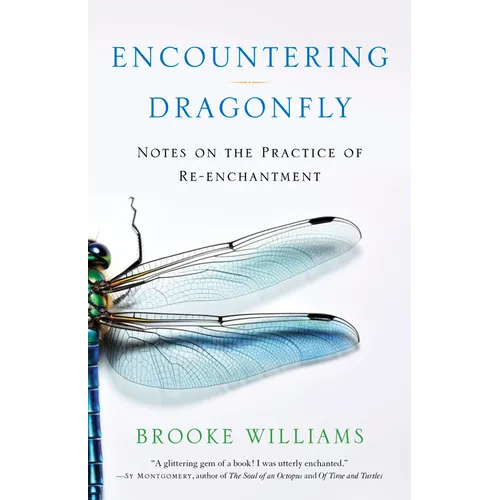 Encountering Dragonfly: Notes on the Practice of Re-Enchantment