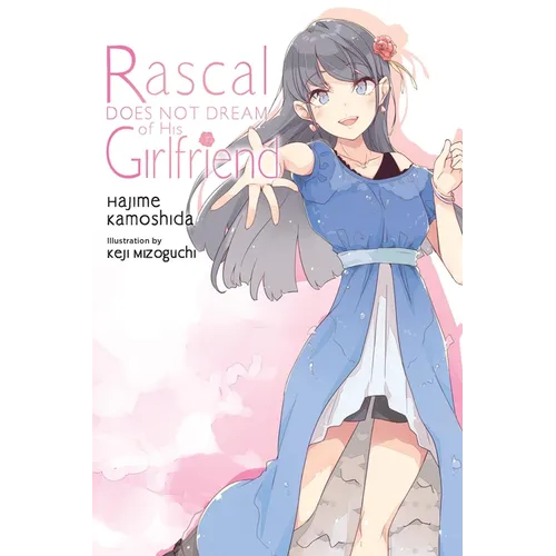 Rascal Does Not Dream of His Girlfriend (Light Novel): Volume 14 - Paperback