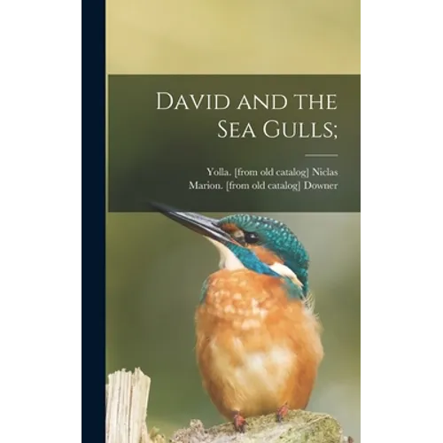 David and the Sea Gulls;