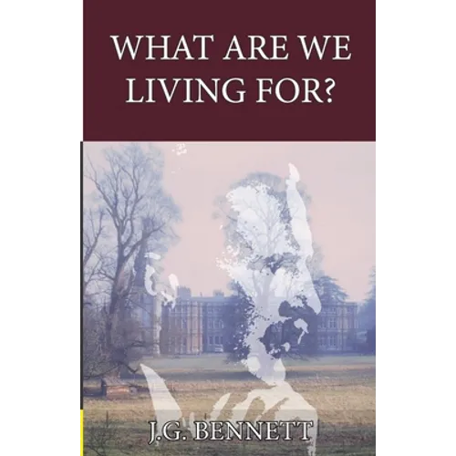 What Are We Living For? - Paperback