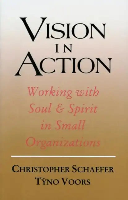 Vision in Action - Paperback