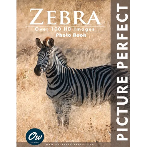 Zebra: Picture Perfect Photo Book - Paperback
