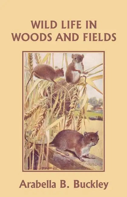 Wild Life in Woods and Fields (Yesterday's Classics) - Paperback