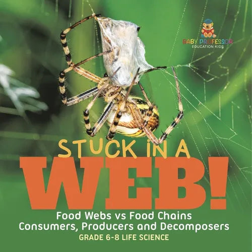 Stuck in a Web! Food Webs vs Food Chains Consumers, Producers and Decomposers Grade 6-8 Life Science - Paperback