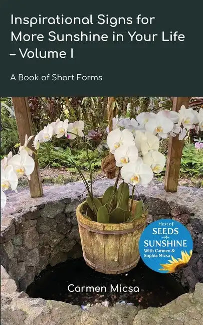 Inspirational Signs for More Sunshine in Your Life - Volume 1 - Paperback