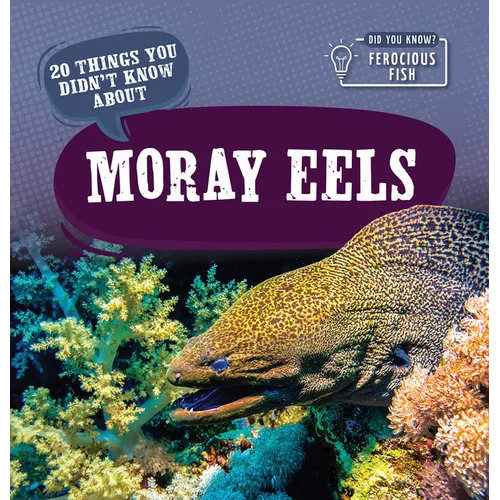 20 Things You Didn't Know about Moray Eels - Library Binding
