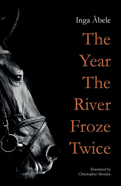 The Year the River Froze Twice - Paperback