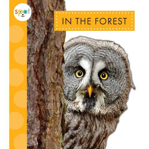 In the Forest - Hardcover
