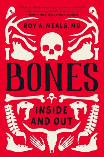 Bones: Inside and Out - Paperback