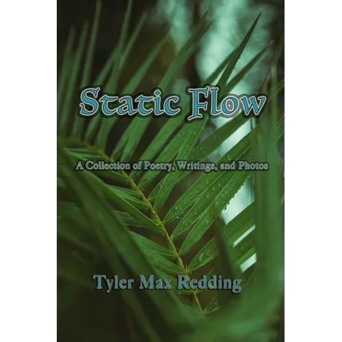 Static Flow - Paperback