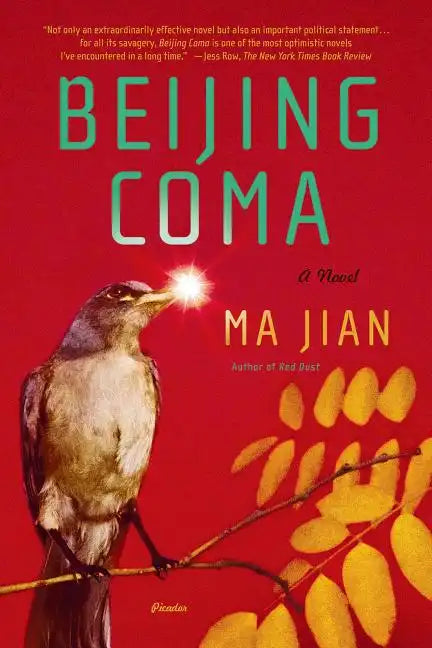 Beijing Coma - Paperback