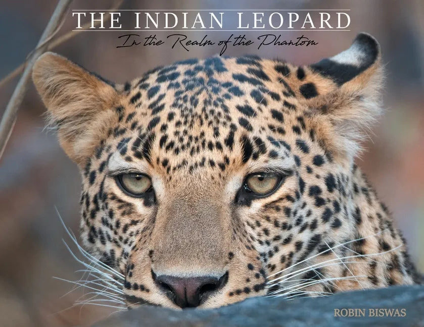 The Indian Leopard: In the Realm of the Phantom - Paperback