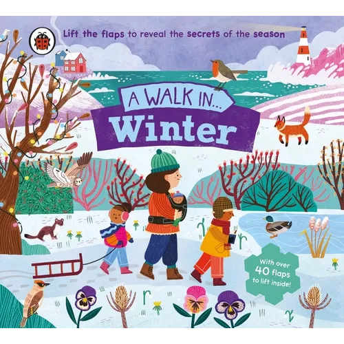 A Walk in Winter: Lift the Flaps to Reveal the Secrets of the Season - Board Book