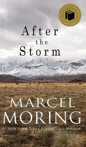 After the Storm - Hardcover