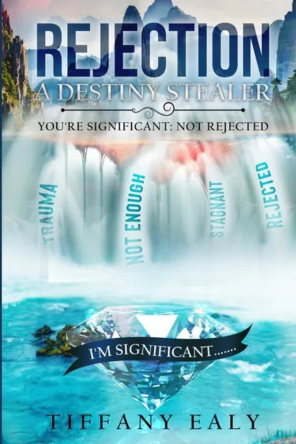 Rejection: A Destiny Stealer - Paperback