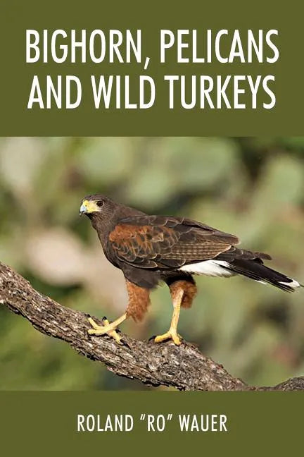 Bighorn, Pelicans and Wild Turkeys - Paperback
