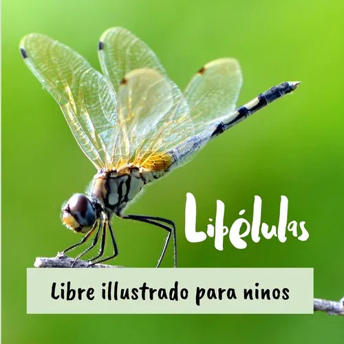 Libélulas: Libre illustrado para ninos - Paperback
