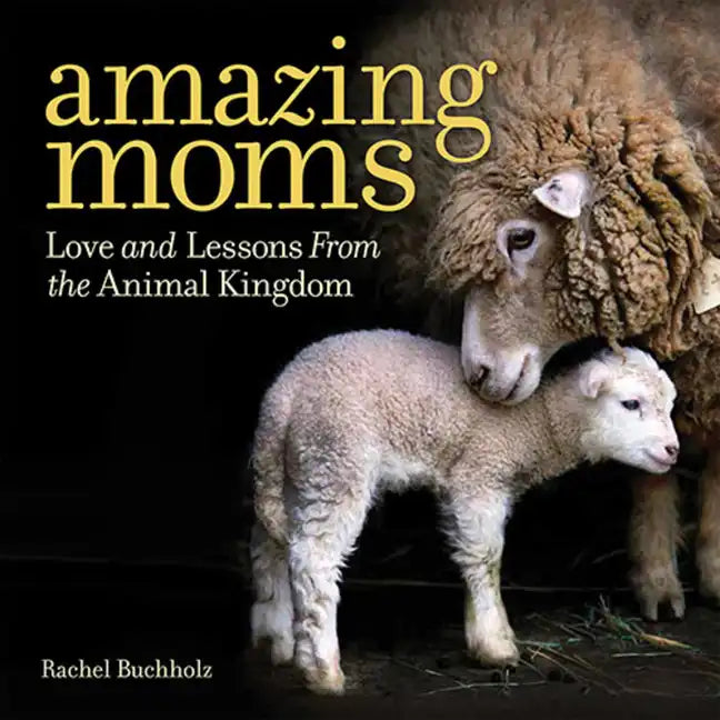 Amazing Moms: Love and Lessons from the Animal Kingdom - Hardcover