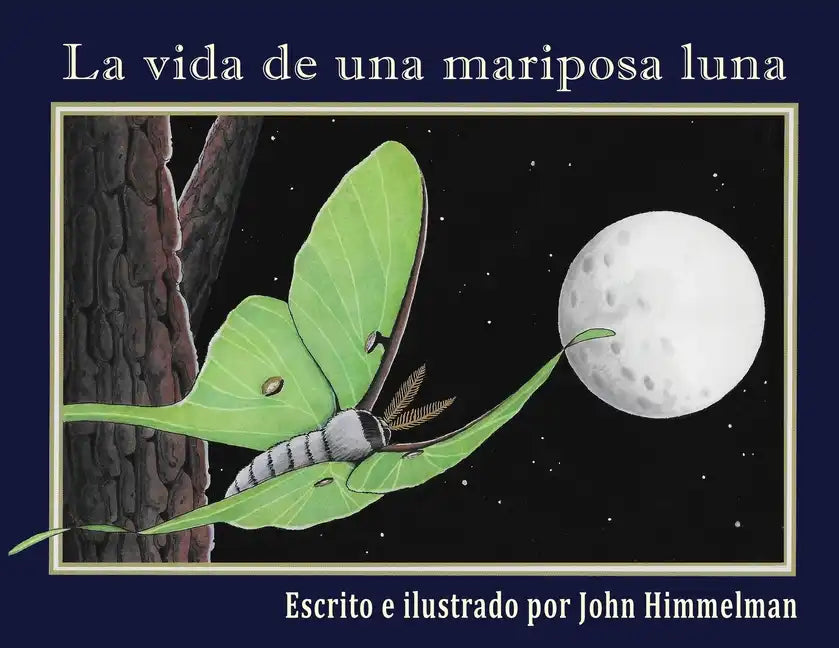 La vida de una mariposa luna - Paperback