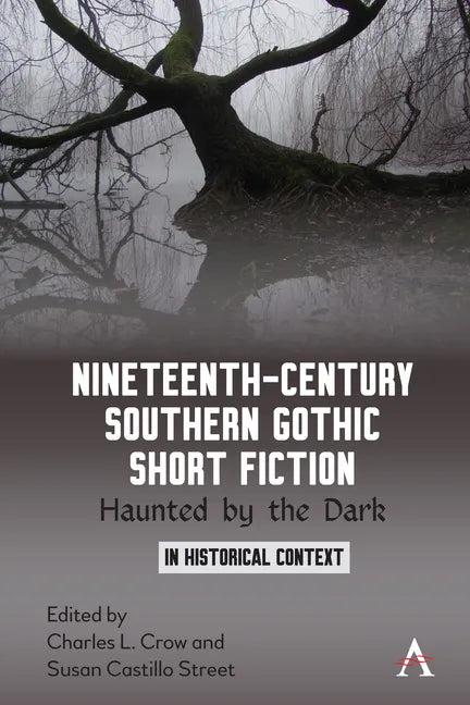 Nineteenth-Century Southern Gothic Short Fiction: Haunted by the Dark - Paperback