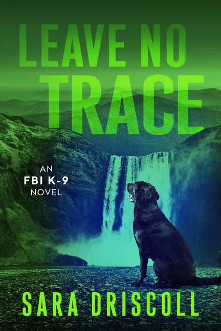 Leave No Trace - Paperback