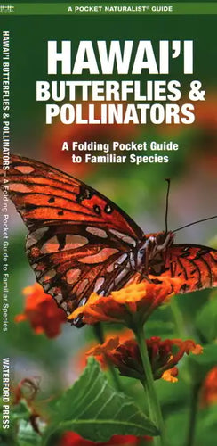 Hawai'i Butterflies and Pollinators - Paperback