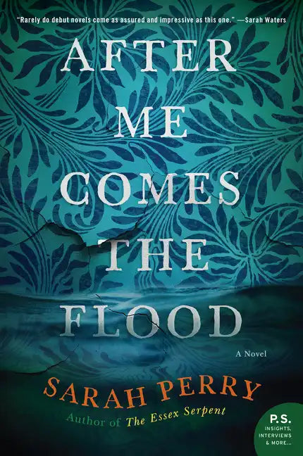 After Me Comes the Flood - Paperback