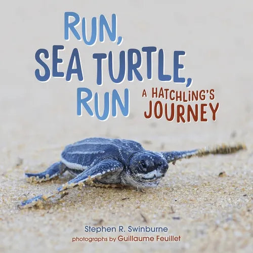Run, Sea Turtle, Run: A Hatchling's Journey - Library Binding