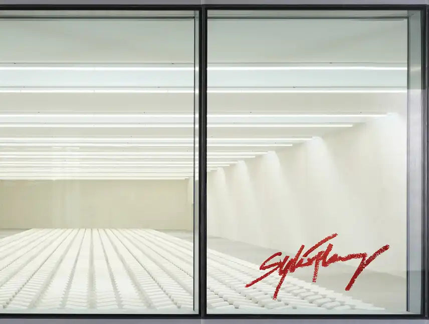 Sylvie Fleury: Double Positive - Paperback