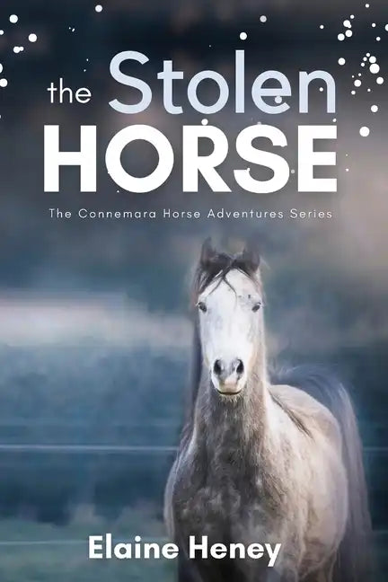 The Stolen Horse - Book 4 in the Connemara Horse Adventure Series for Kids The Perfect Gift for Children age 8-12 - Paperback