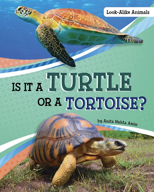 Is It a Turtle or a Tortoise? - Hardcover