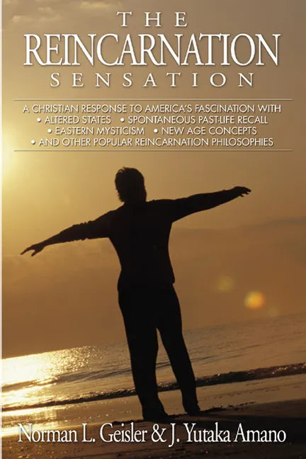 The Reincarnation Sensation - Paperback