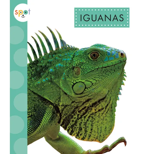 Iguanas - Hardcover