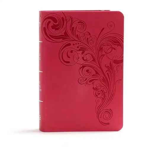 KJV Large Print Compact Reference Bible, Pink Leathertouch - Imitation Leather