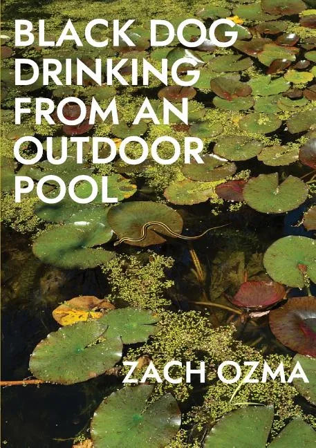 Black Dog Drinking from an Outdoor Pool - Paperback