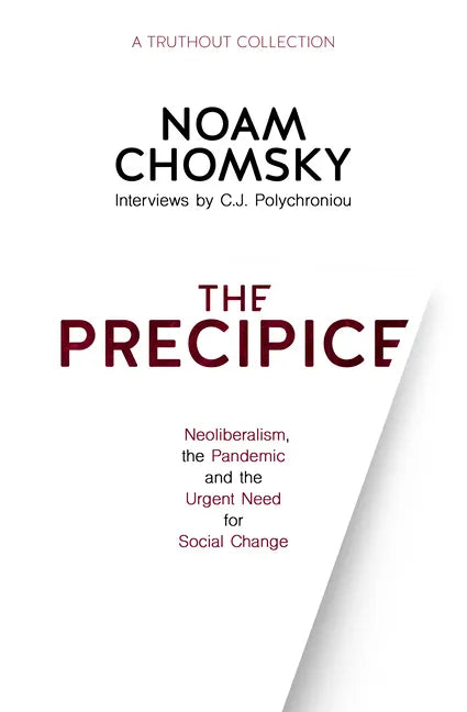 The Precipice: Neoliberalism, the Pandemic and Urgent Need for Social Change - Hardcover