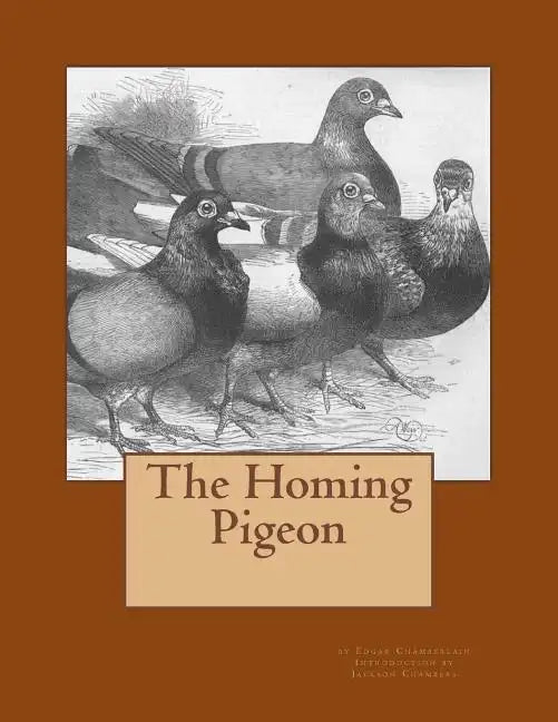 The Homing Pigeon - Paperback